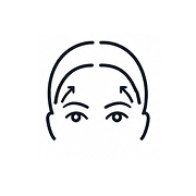 상면부